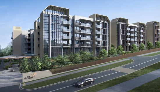 The Gazania project thumbnail photo